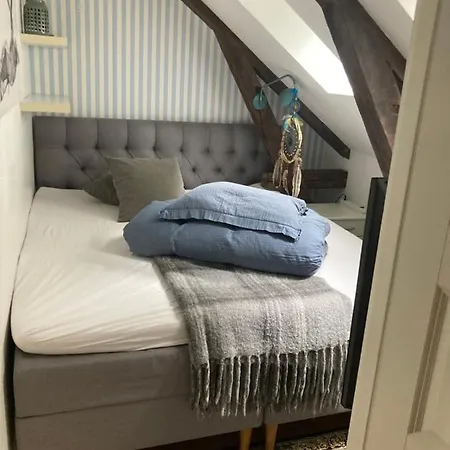 Downtown Loft With Shared Bathroom *