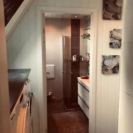 Quarto em Acomodações Particulares Downtown Loft With Shared Bathroom *